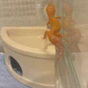 ヒメ日記 2025/06/27 16:38 投稿 みさ Delyz（デリーズ）