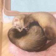 ヒメ日記 2025/10/12 20:56 投稿 みさ Delyz（デリーズ）