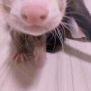 ヒメ日記 2026/03/02 20:54 投稿 みさ Delyz（デリーズ）