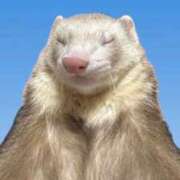 みさ 💓 Delyz（デリーズ）