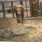 ヒメ日記 2025/05/29 23:23 投稿 みさ はちみつ