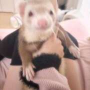 ヒメ日記 2025/06/14 19:26 投稿 みさ はちみつ