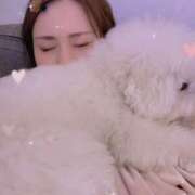 ヒメ日記 2025/05/04 17:06 投稿 かれん ティンカーベル