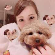 ヒメ日記 2025/06/26 08:11 投稿 かれん ティンカーベル