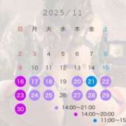 ヒカル 11月後半の出勤🌰🐿 ティンカーベル