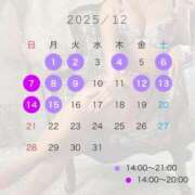 ヒカル 12月前半の出勤🎄 ティンカーベル