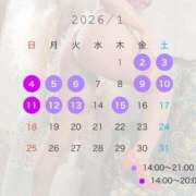 ヒメ日記 2025/12/29 20:35 投稿 ヒカル ティンカーベル