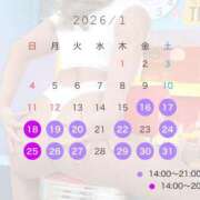 ヒメ日記 2026/01/12 15:44 投稿 ヒカル ティンカーベル