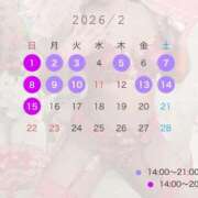 ヒカル 2月前半の出勤❄️ ティンカーベル