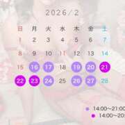 ヒカル 2月後半の出勤❄️ ティンカーベル