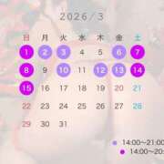 ヒメ日記 2026/02/24 00:32 投稿 ヒカル ティンカーベル