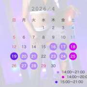 ヒカル 4月後半の出勤🍡 ティンカーベル