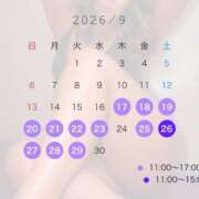 ヒメ日記 2026/08/31 21:04 投稿 ヒカル ティンカーベル