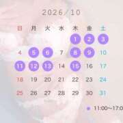 ヒメ日記 2026/09/24 09:02 投稿 ヒカル ティンカーベル