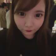 ヒメ日記 2025/04/14 08:00 投稿 ふわり ティンカーベル