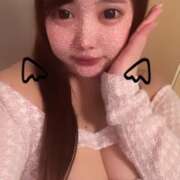 ヒメ日記 2025/04/15 10:39 投稿 ふわり ティンカーベル