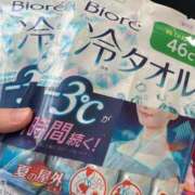 ヒメ日記 2025/05/20 10:31 投稿 ふわり ティンカーベル
