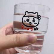 ヒメ日記 2025/05/22 08:30 投稿 ふわり ティンカーベル