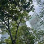 ヒメ日記 2025/06/01 18:16 投稿 ふわり ティンカーベル