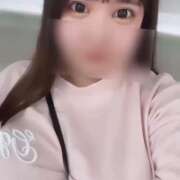 ヒメ日記 2025/06/07 17:21 投稿 ふわり ティンカーベル