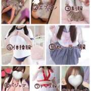 ヒメ日記 2025/06/09 20:30 投稿 ふわり ティンカーベル