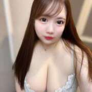 ヒメ日記 2025/06/22 15:30 投稿 ふわり ティンカーベル