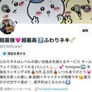 ヒメ日記 2025/07/06 22:09 投稿 ふわり ティンカーベル