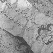 ヒメ日記 2025/07/07 22:28 投稿 ふわり ティンカーベル