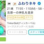 ヒメ日記 2025/08/05 14:30 投稿 ふわり ティンカーベル