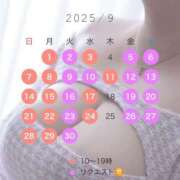 ヒメ日記 2025/08/27 21:45 投稿 ふわり ティンカーベル