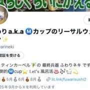 ヒメ日記 2025/09/19 07:02 投稿 ふわり ティンカーベル