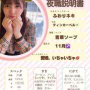 ヒメ日記 2025/09/20 09:02 投稿 ふわり ティンカーベル