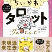 ヒメ日記 2025/09/25 13:00 投稿 ふわり ティンカーベル