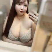 ヒメ日記 2025/09/27 05:52 投稿 ふわり ティンカーベル