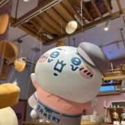 ヒメ日記 2025/11/01 07:01 投稿 ふわり ティンカーベル