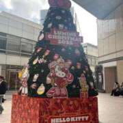 ヒメ日記 2025/12/01 16:20 投稿 ふわり ティンカーベル