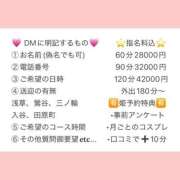 ヒメ日記 2025/12/04 08:47 投稿 ふわり ティンカーベル