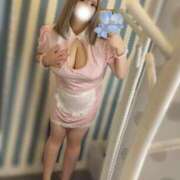 ヒメ日記 2025/12/21 10:12 投稿 ふわり ティンカーベル