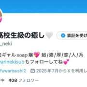 ヒメ日記 2025/12/24 10:30 投稿 ふわり ティンカーベル