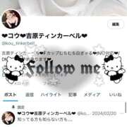 ヒメ日記 2025/04/08 15:30 投稿 コウ ティンカーベル