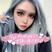 ヒメ日記 2025/04/13 06:40 投稿 コウ ティンカーベル