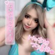 ヒメ日記 2025/04/13 16:30 投稿 コウ ティンカーベル