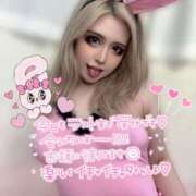 ヒメ日記 2025/04/22 12:13 投稿 コウ ティンカーベル