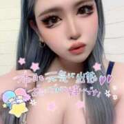 ヒメ日記 2025/05/24 08:39 投稿 コウ ティンカーベル