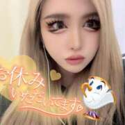 ヒメ日記 2025/05/30 12:45 投稿 コウ ティンカーベル