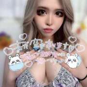 ヒメ日記 2025/06/09 13:27 投稿 コウ ティンカーベル