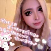 ヒメ日記 2025/06/11 15:23 投稿 コウ ティンカーベル