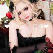 ヒメ日記 2025/06/12 16:22 投稿 コウ ティンカーベル