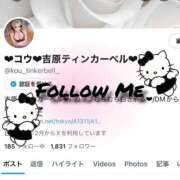 ヒメ日記 2025/06/13 16:45 投稿 コウ ティンカーベル