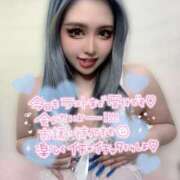 ヒメ日記 2025/06/14 15:34 投稿 コウ ティンカーベル